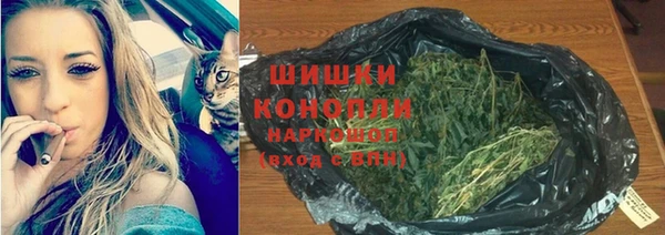 бошки Надым